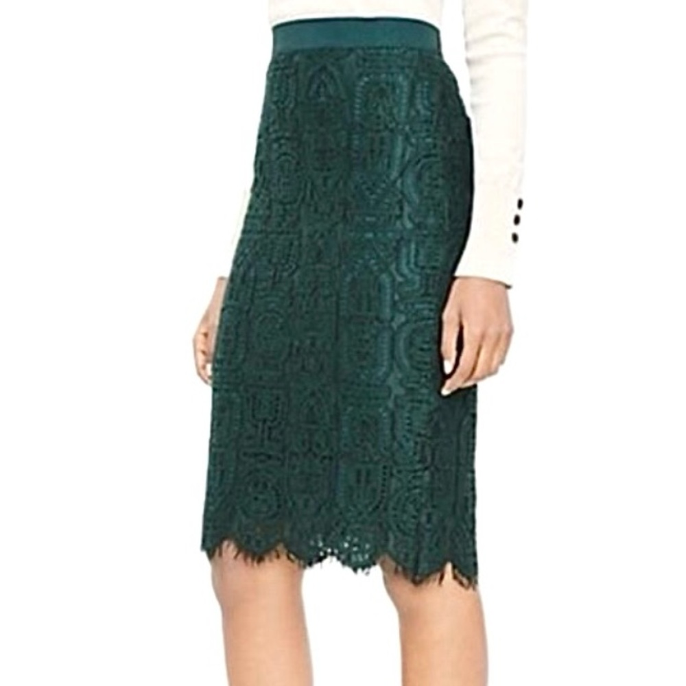ANN TAYLOR SKIRT PENCIL 10P LACE FOREST DEEP GREEN Work Career Corporate Chic - Picture 3 of 13